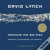 Capa do artigo Catching The Big Fish