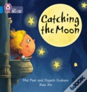Capa do artigo Catching The Moon