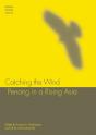 Catching The Wind - Preview