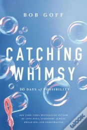 Capa do artigo Catching Whimsy
