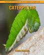 Caterpillar - Preview