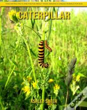 Caterpillar