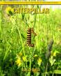 Caterpillar - Preview