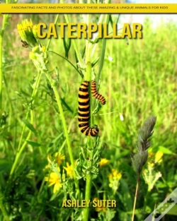 Capa do artigo Caterpillar