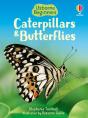 Caterpillars And Butterflies - Preview