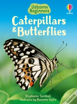 Capa do artigo Caterpillars And Butterflies