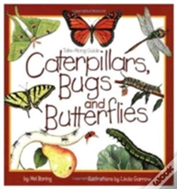 Capa do artigo Caterpillars, Bugs And Butterflies