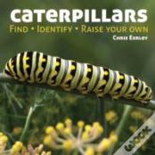 Caterpillars