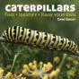 Caterpillars - Preview