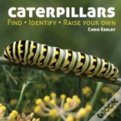 Capa do artigo Caterpillars