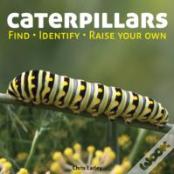 Caterpillars