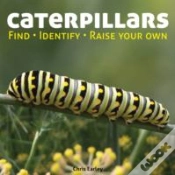 Capa do artigo Caterpillars
