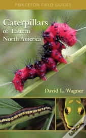 Caterpillars Of Eastern North America