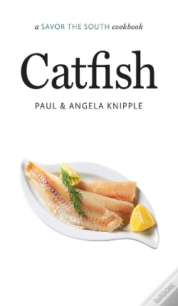 Capa do artigo Catfish