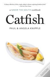 Capa do artigo Catfish