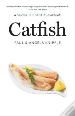 Capa do artigo Catfish