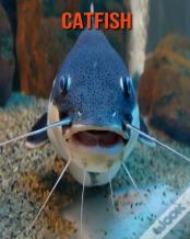 Catfish