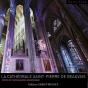 Cathedrale Saint-Pierre De Beauvais - Preview