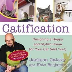 Capa do artigo Catification