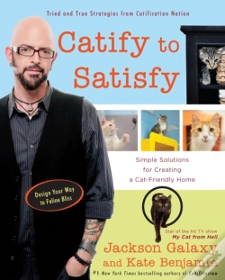 Capa do artigo Catify To Satisfy