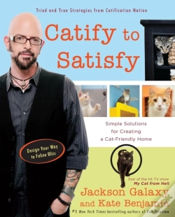 Capa do artigo Catify To Satisfy