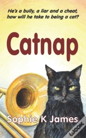 Capa do artigo Catnap