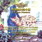Catnapper (Mandarin) - CD - Preview