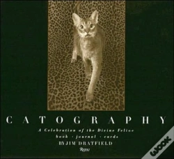 Capa do artigo Catography