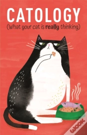 Capa do artigo Catology