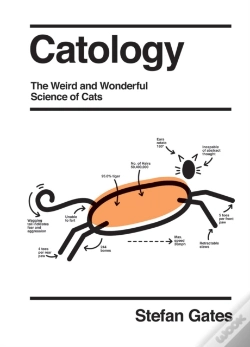 Capa do artigo Catology