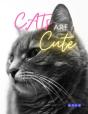 Cats Are Cute - Preview