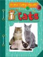 Cats - Preview