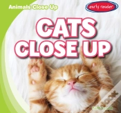 Capa do artigo Cats Close Up