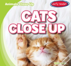 Capa do artigo Cats Close Up