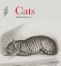 Cats - Preview