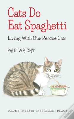 Capa do artigo Cats Do Eat Spaghetti