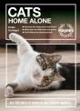 Cats Home Alone - Preview