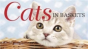 Cats In Baskets - Preview