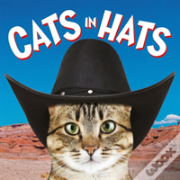 Cats In Hats
