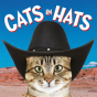 Cats In Hats - Preview