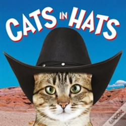 Capa do artigo Cats In Hats