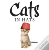 Cats In Hats