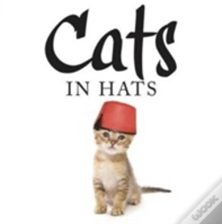 Capa do artigo Cats In Hats