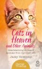 Cats In Heaven - Preview
