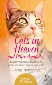 Cats In Heaven