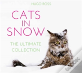 Cats In Snow