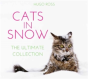 Cats In Snow - Preview