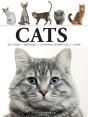 Cats - Preview