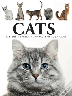 Capa do artigo Cats