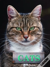 Capa do artigo Cats